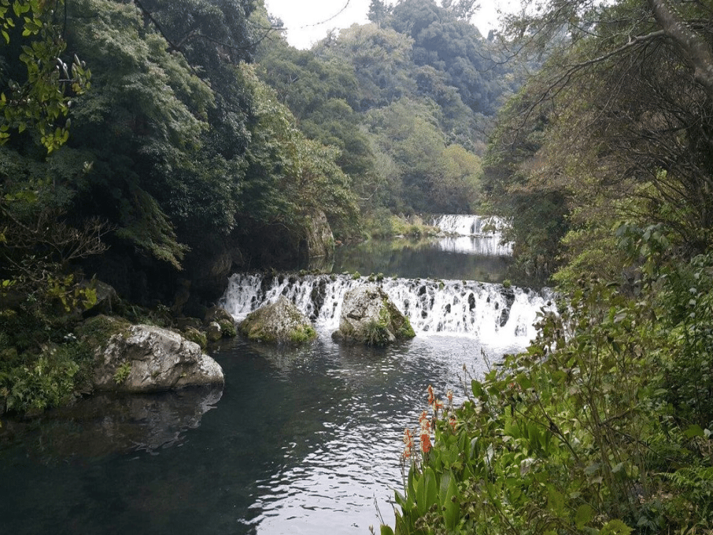 Jeolmul Recreation Forest