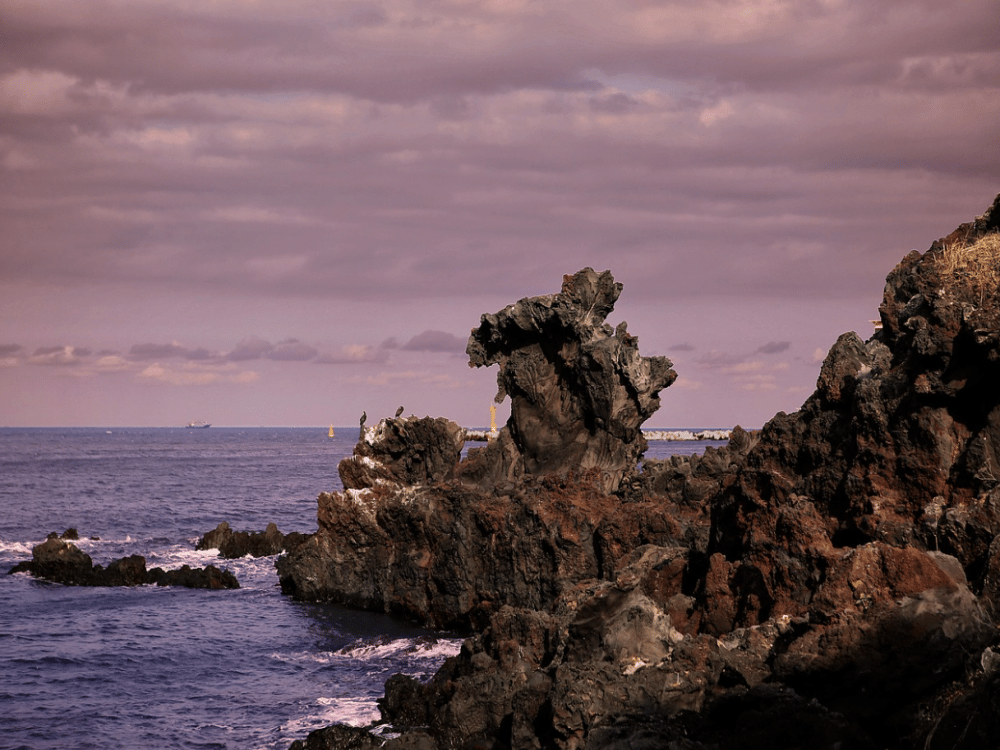 Jeju: Yongduam Rock | ®ExcursionMania