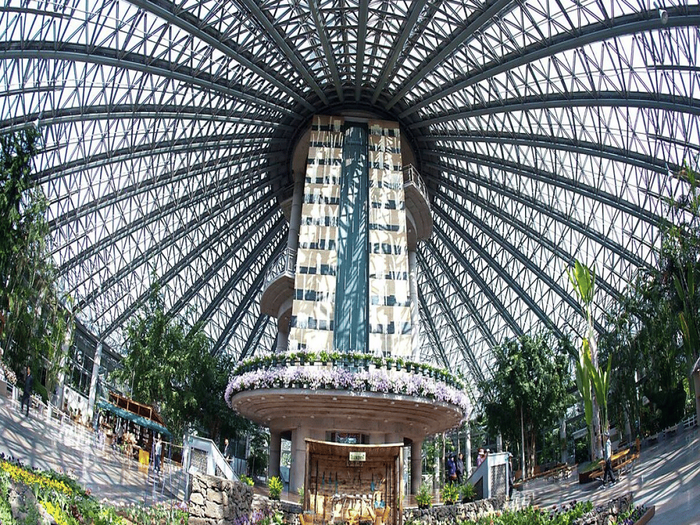 Yeomiji Botanic Garden