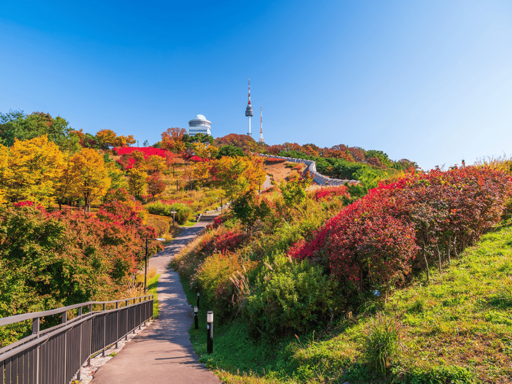 Namsan Park