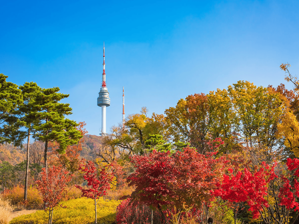 Seoul: Namsan Park | ®ExcursionMania