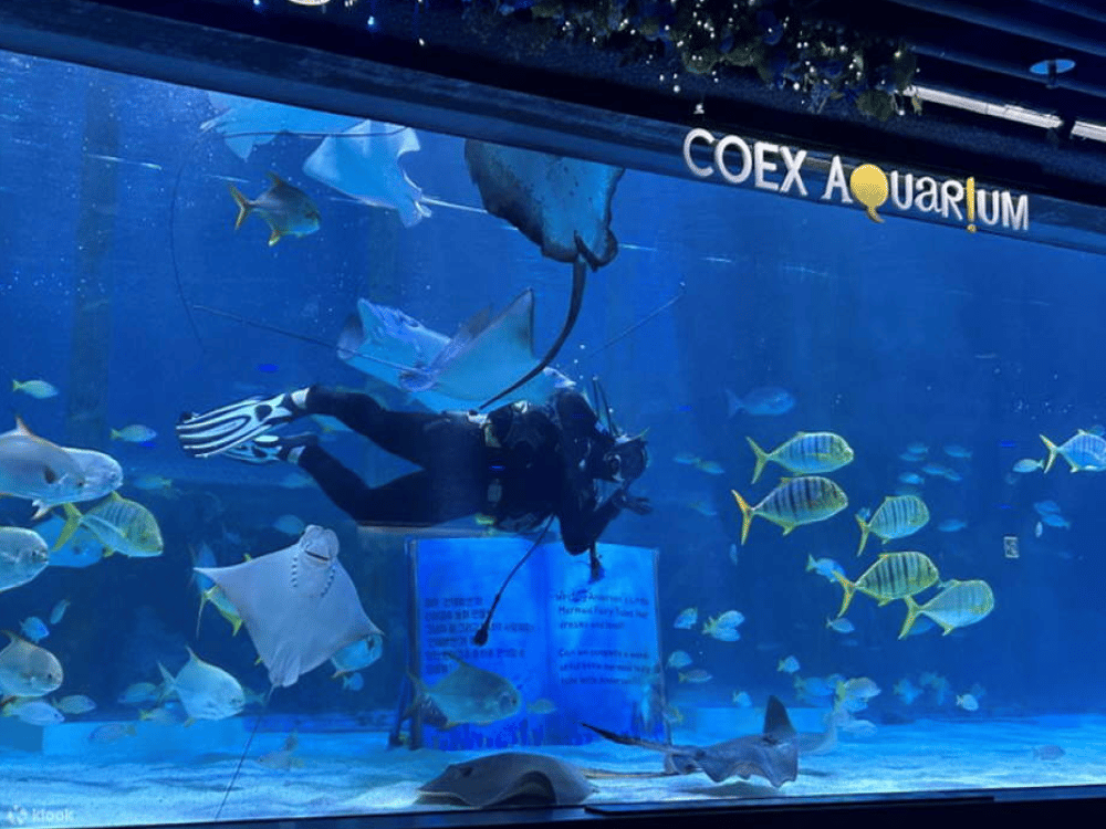 Sea Life Coex Seoul Aquarium