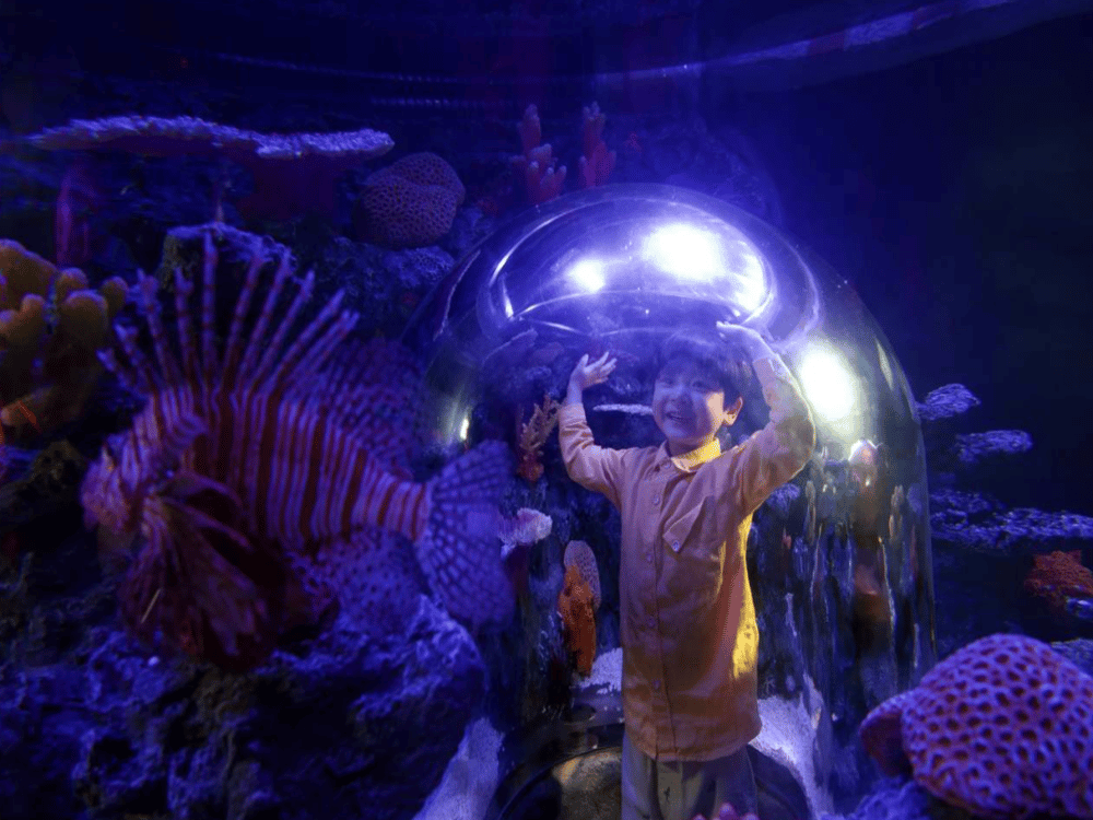 Sea Life Coex Seoul Aquarium