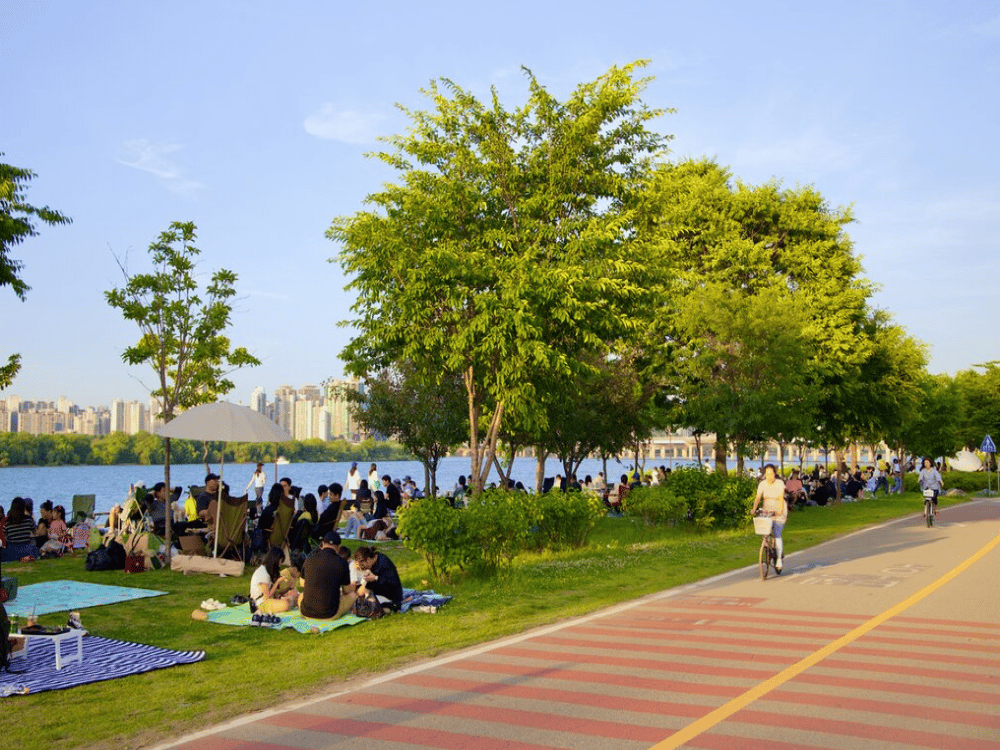 Yeouido Hangang Park