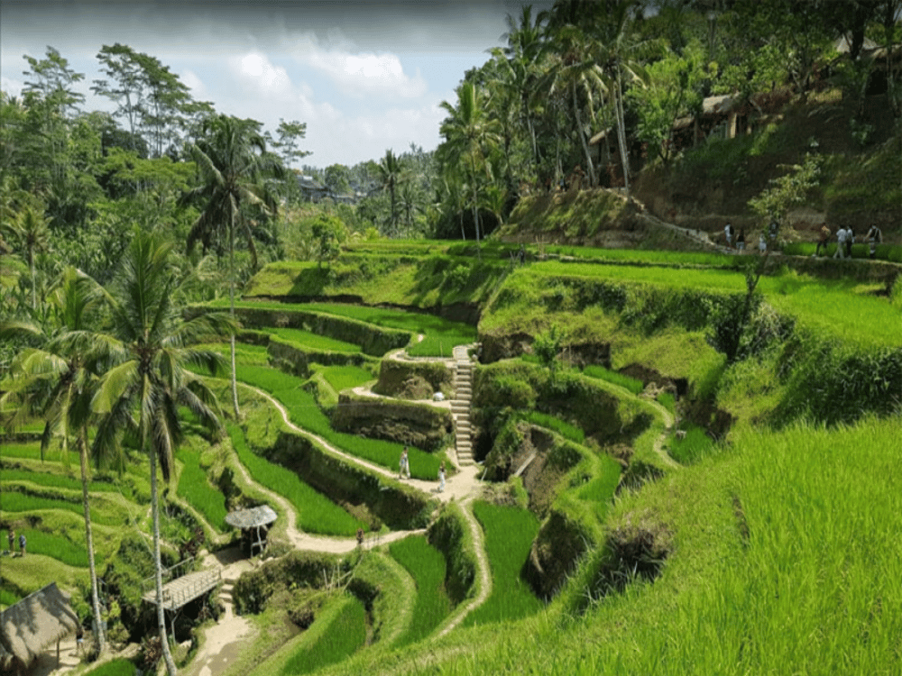 Top 10 Must-Visit Attractions in Bali for First-Time Travelers