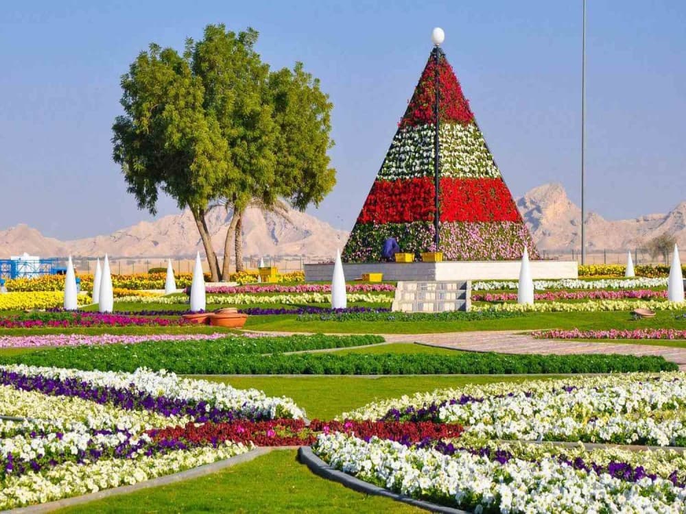 Day Trips from Dubai: Beyond the City