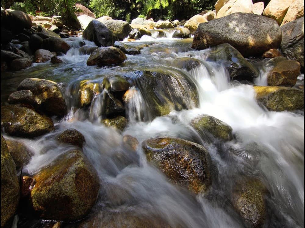 Da Ban Stream (Suoi Da Ban)