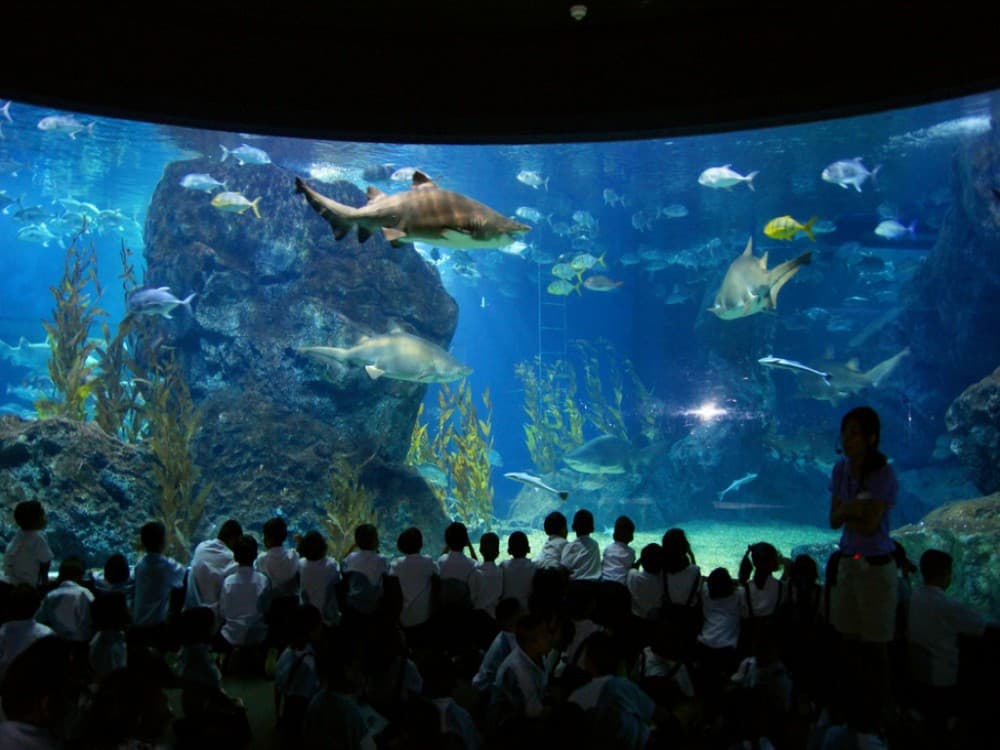  SEA LIFE Bangkok Ocean World