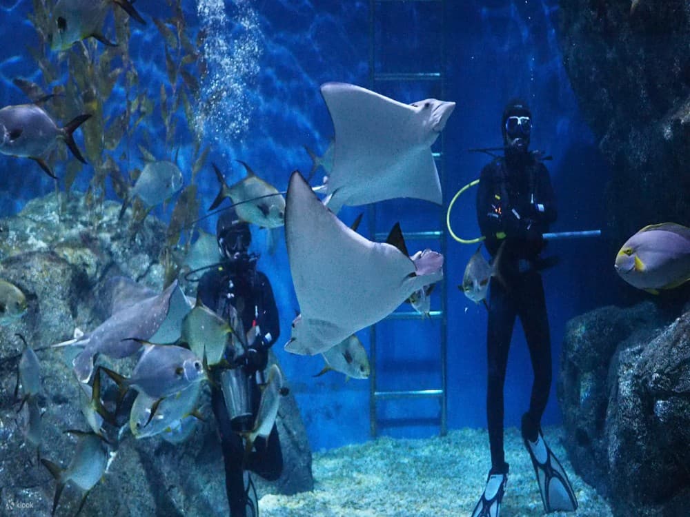  SEA LIFE Bangkok Ocean World