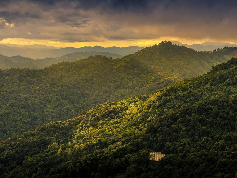 Doi Suthep–Pui National Park