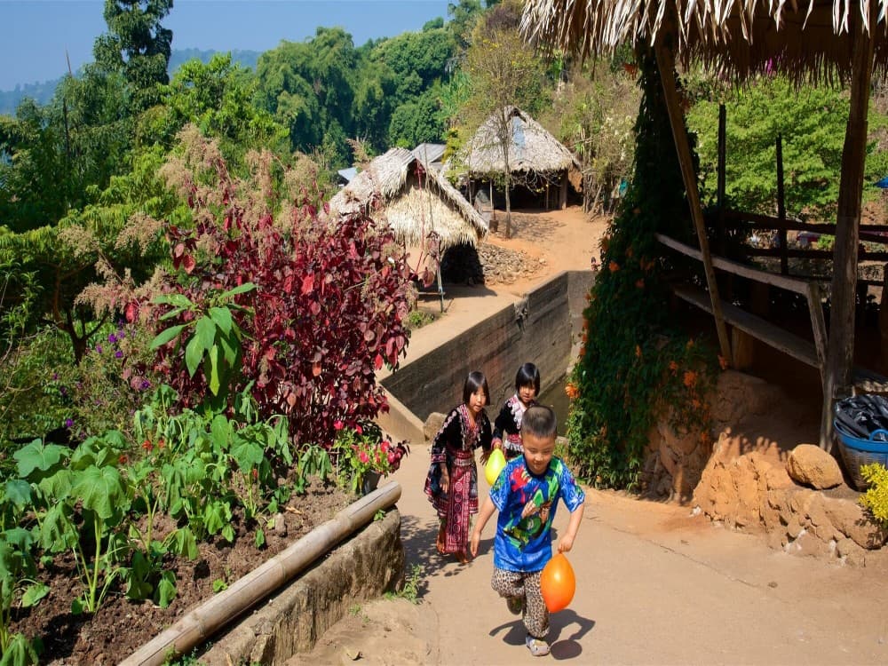 Doi Suthep–Pui National Park