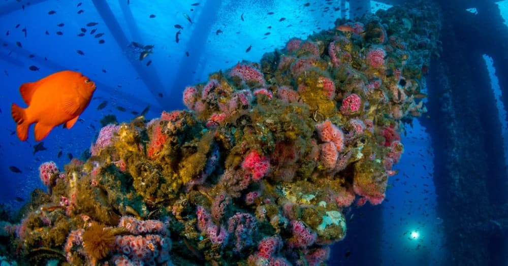 Maio Island: Cape Verde’s Best-Kept Secret