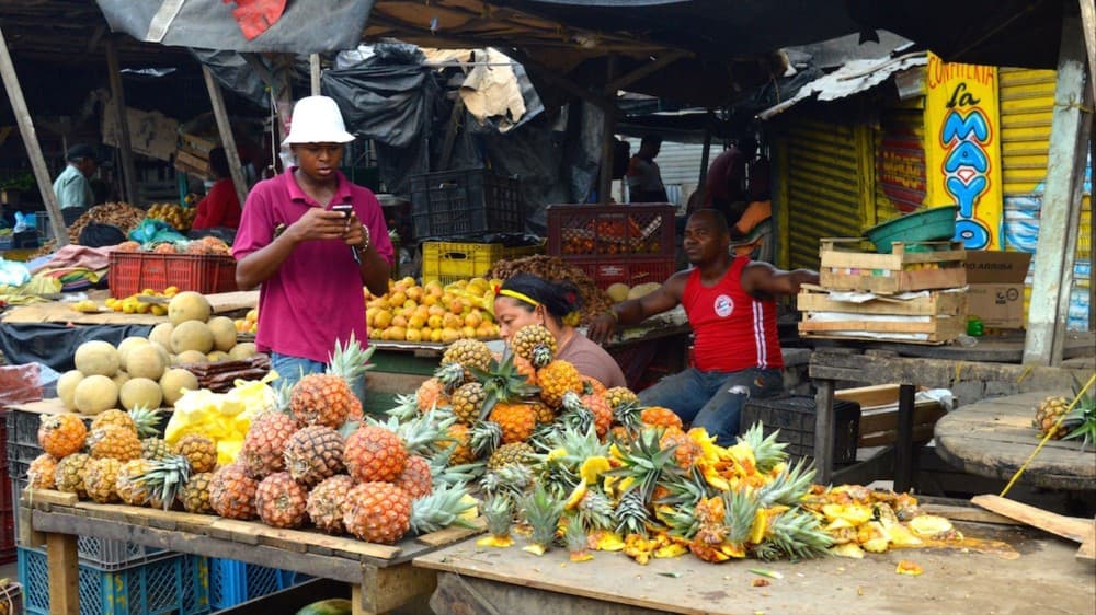 Cultural Experiences in Cartagena: History, Flavor, and Rhythm