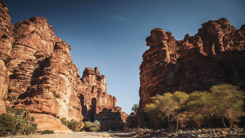 Aswan for Adventure Seekers: Best Outdoor Activities