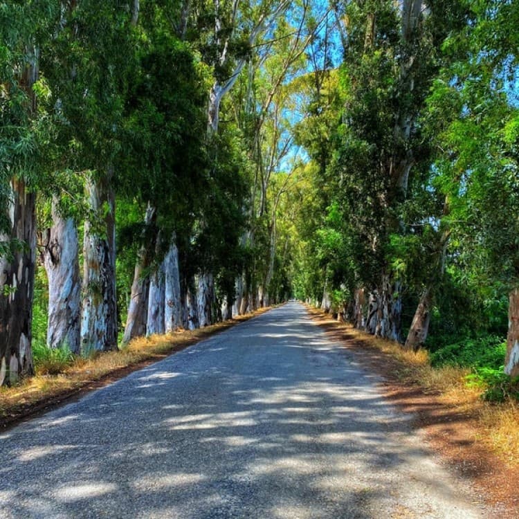 Akyaka Through the Lens: The Most Instagram-Worthy Spots