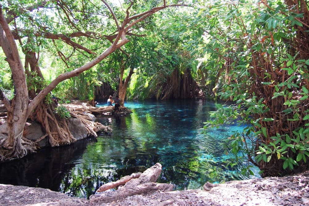 Best Day Trips from Arusha: Nature, Culture, and Adventure