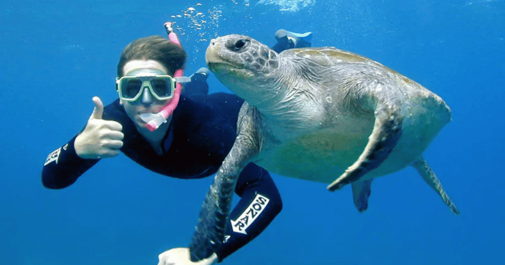 Day Trips from Sal, Cape Verde: Exploring Nearby Islands & Hidden Spots