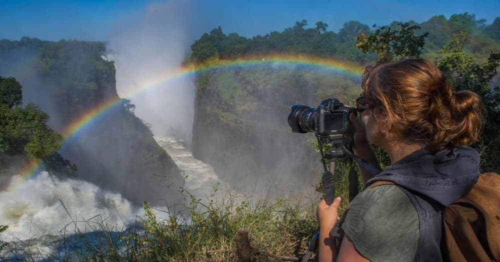 Exploring the Victoria Falls Rainforest: A Unique Ecosystem