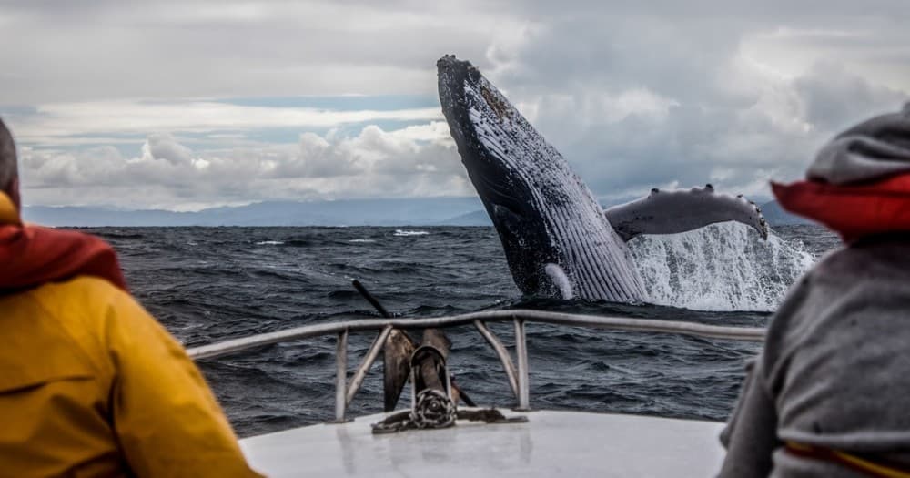 Family-Friendly Tenerife: Best Activities for Kids and Parents
