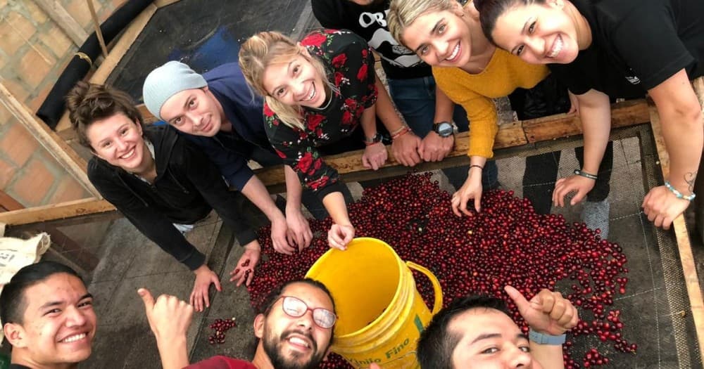 Day Trips from Pereira: Exciting Getaways in the Coffee Triangle