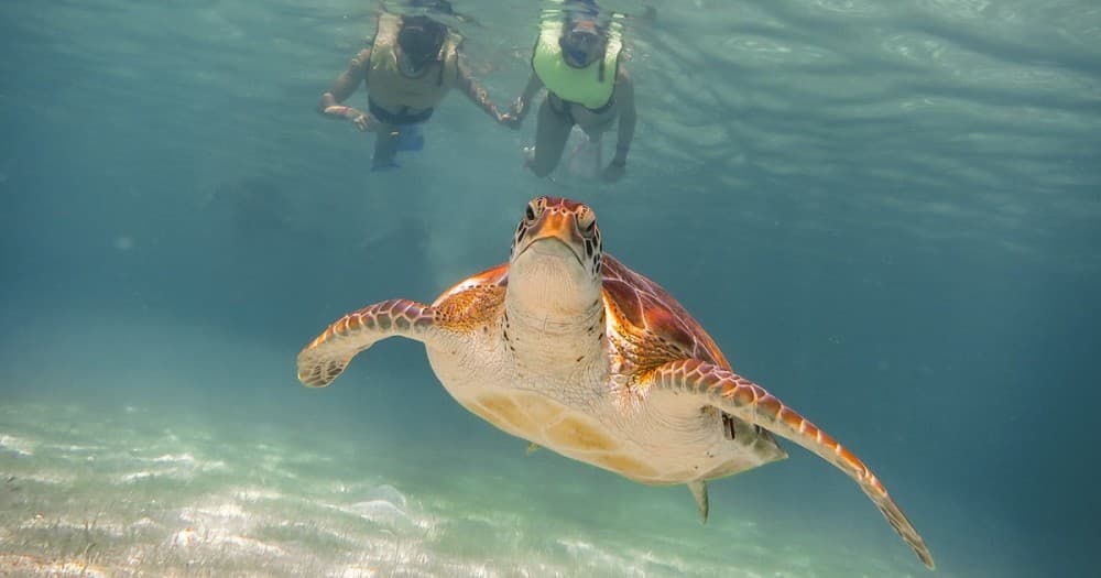 Adventure Awaits: Thrilling Outdoor Activities in Boa Vista