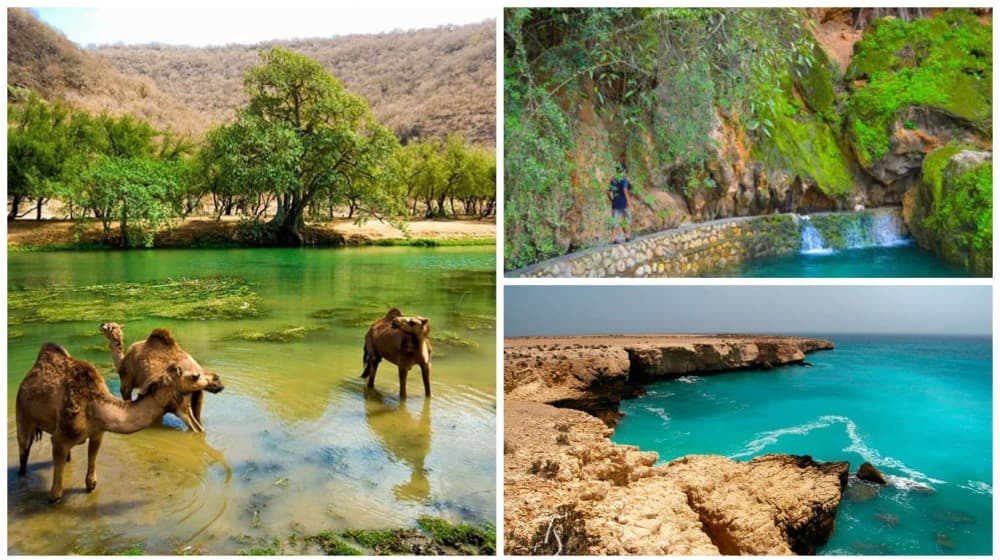 A First Timer's Guide to Exploring Salalah