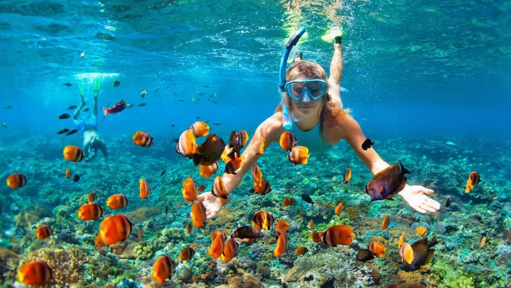 Exploring the Red Sea: Diving and Snorkeling in Sharm El-Sheikh