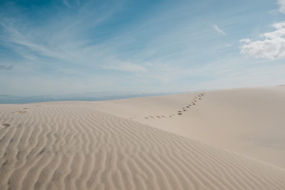 Top Things to Do in Boa Vista: A First-Timer's Guide