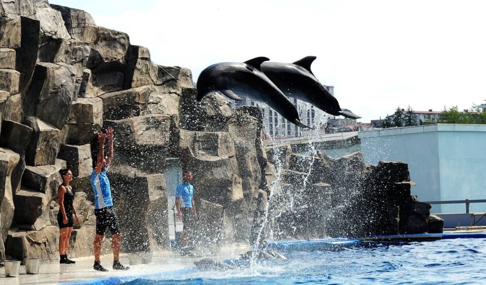 Top Things to Do in Batumi for First-Time Visitors