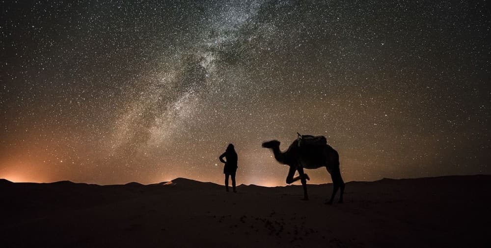 Stargazing & Astronomy Tours: Wonders of the Sinai Sky