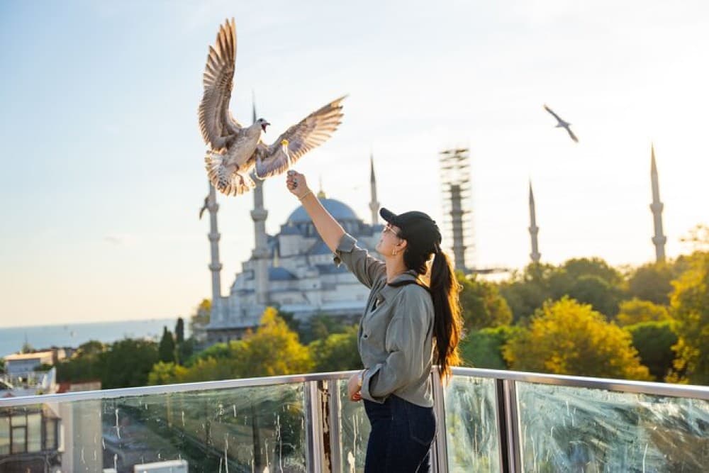 Unique Experiences in Istanbul
