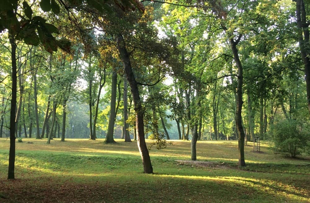 Cultural & Historical Highlights