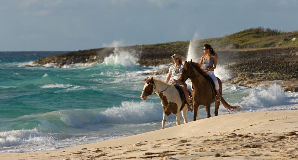 Adventure Activities in Essaouira: Surfing, Quad Biking, and More