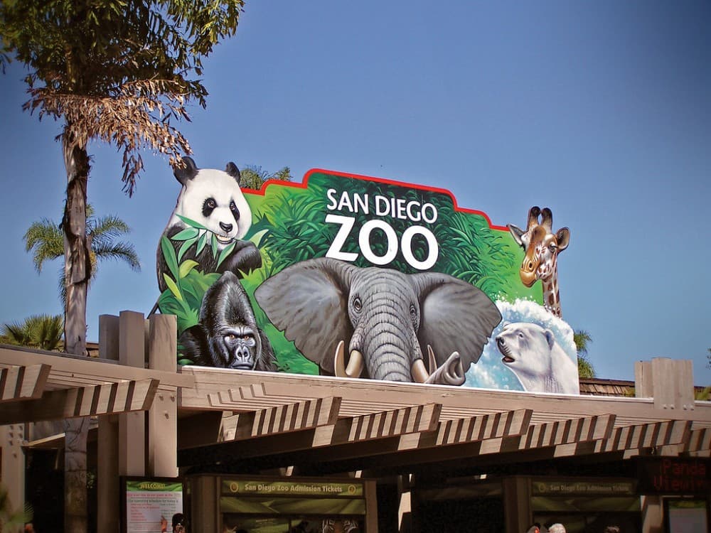 Family Adventures in San Diego: Fun for Kids and Parents