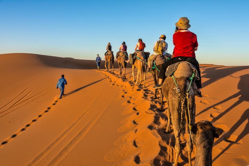 Adventure Activities in Essaouira: Surfing, Quad Biking, and More
