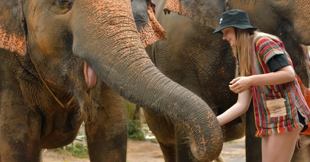 Beyond the City: Best Day Trips from Chiang Mai