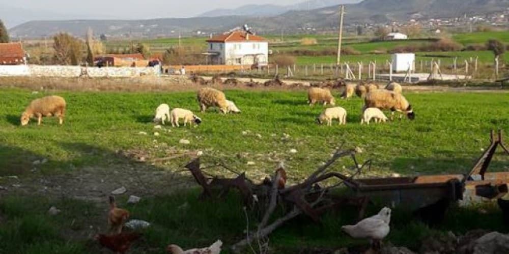 The Spirit of Didim: Villages You Must Visit