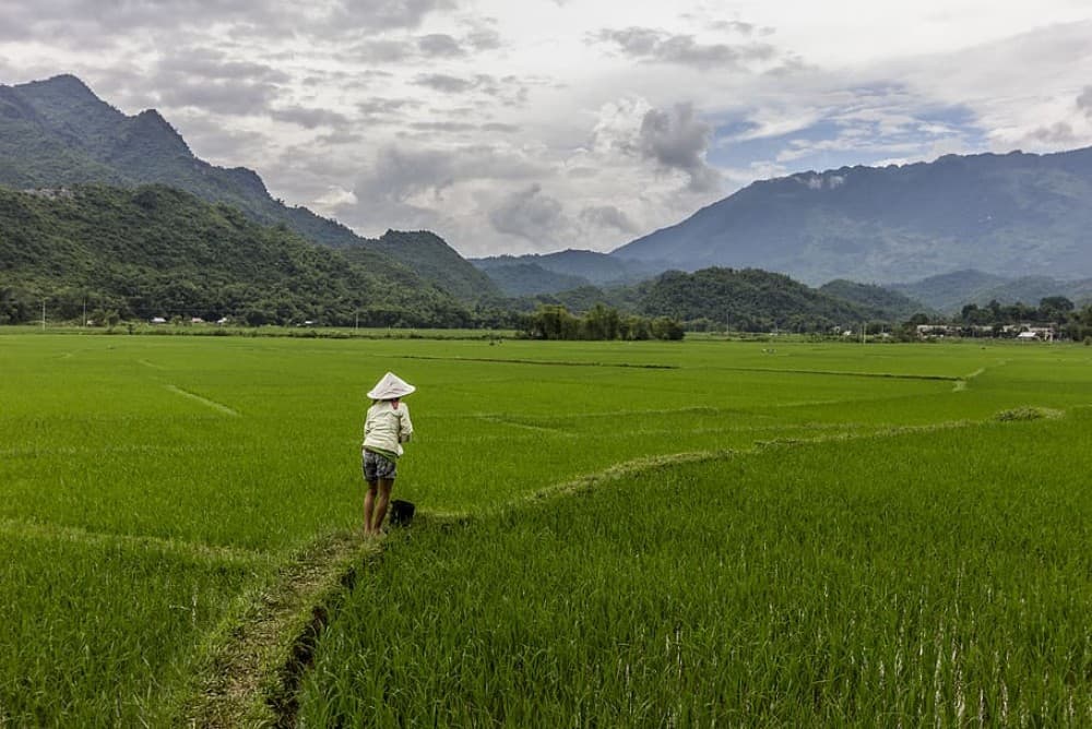 Tranquil Trails: Vietnam’s Most Peaceful Hidden Escapes