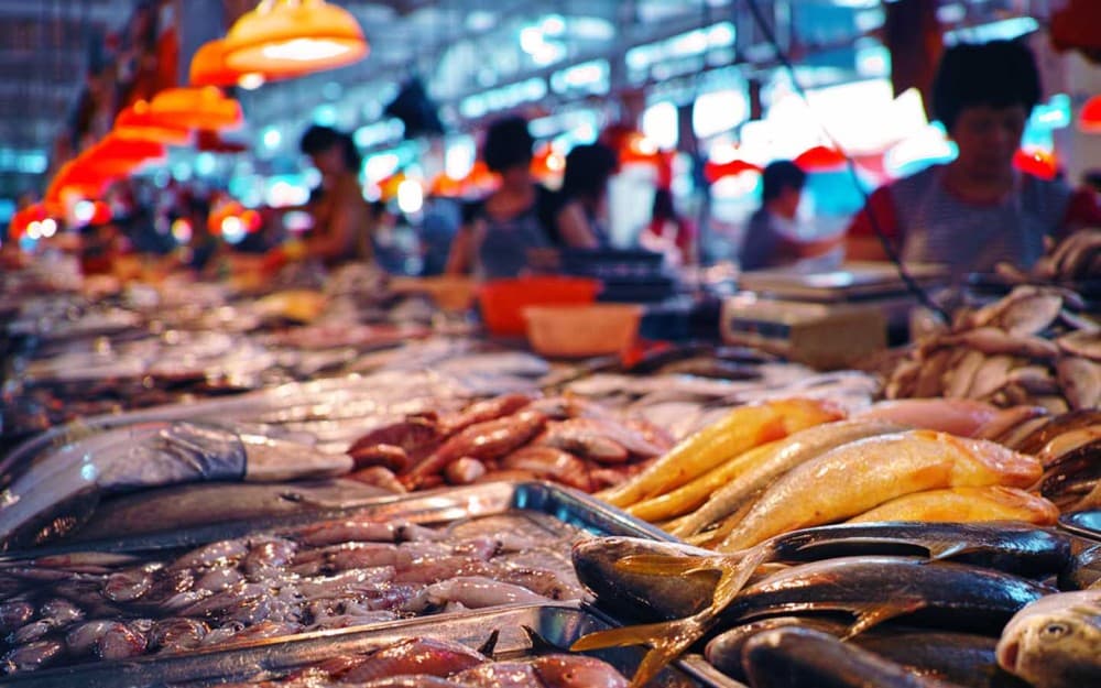 A Food Lover’s Guide to Sao Vicente: What to Eat and Where