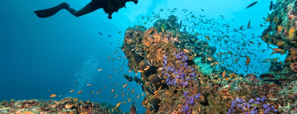 The Best Time to Visit Khao Lak: Weather, Festivals, and Travel Tips