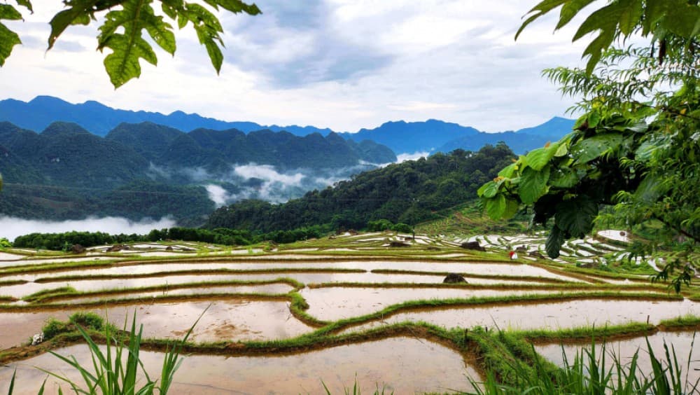 Tranquil Trails: Vietnam’s Most Peaceful Hidden Escapes