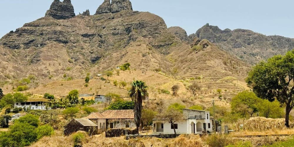 Exploring Rui Vaz for the First Time: What You Need to Know