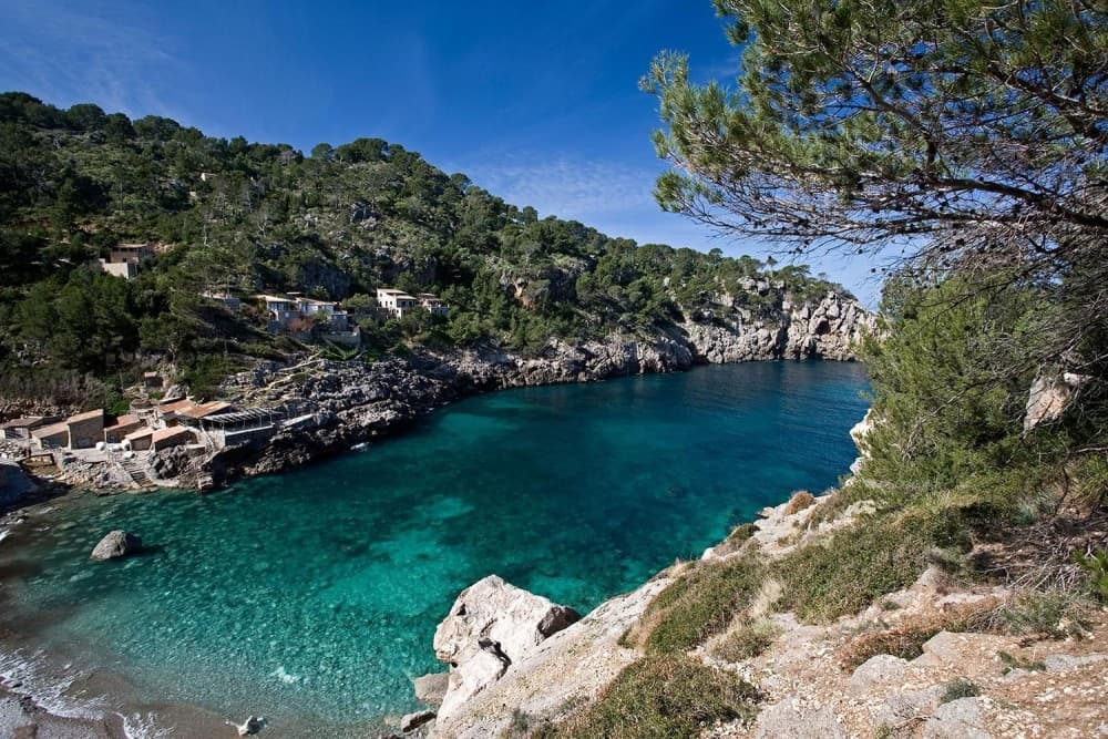 The Ultimate Beach Guide to Mallorca: Where to Sunbathe and Swim
