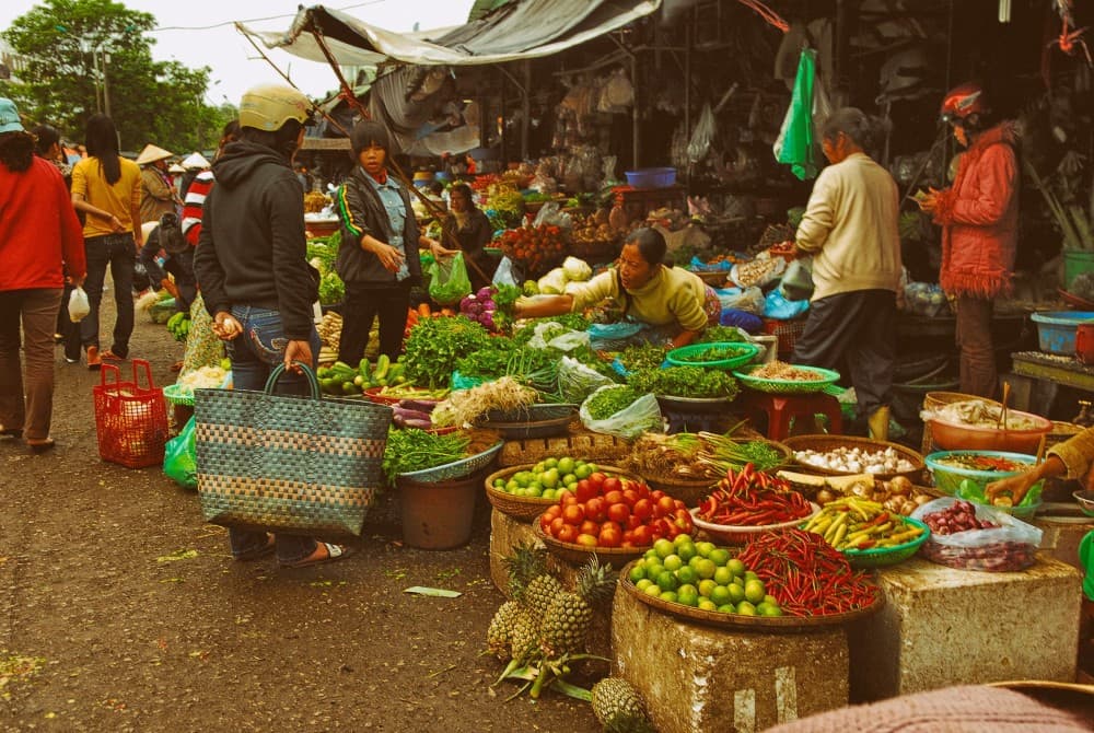 Highland Calling: Must-Do Mountain Escapes in Northern Vietnam