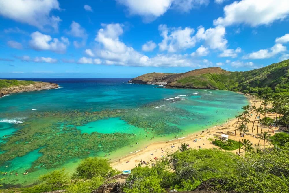 Outdoor Adventures in Honolulu: Beaches, Hikes, and More