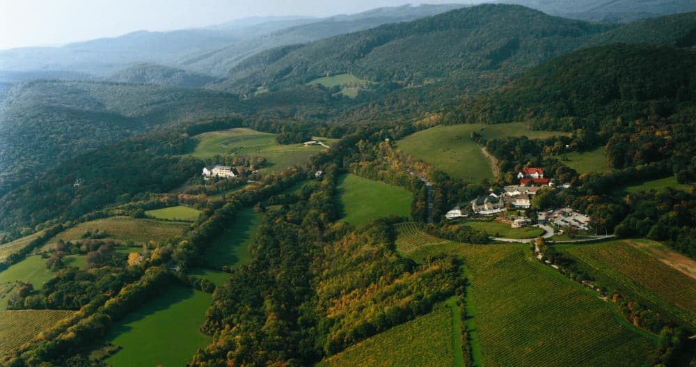 Best Day Trips from Vienna: Explore Beyond the City