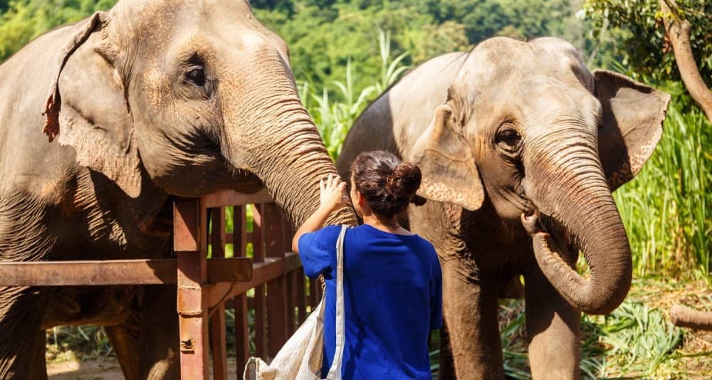 Top Things to Do in Chiang Mai for First-Timers