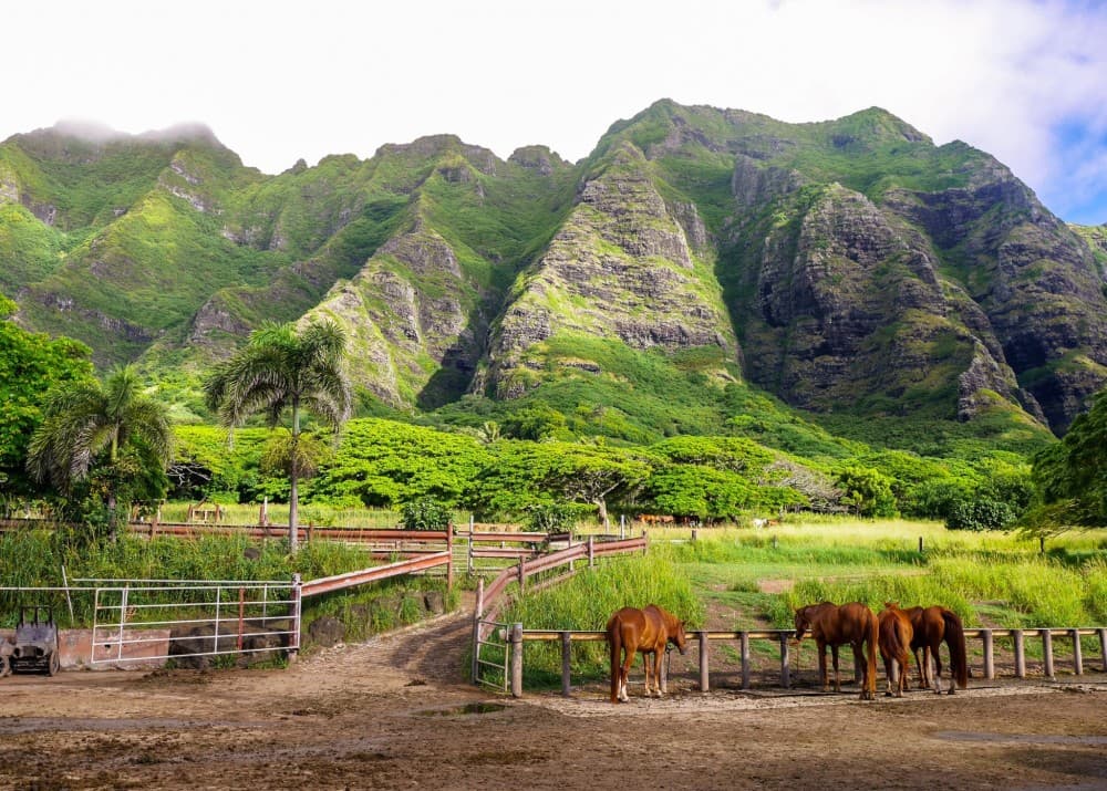 The Best Day Trips from Honolulu: Beyond the City’s Shores
