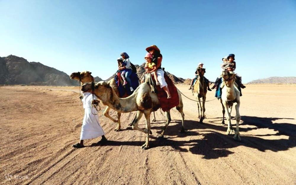 Desert Safari & Bedouin Nights