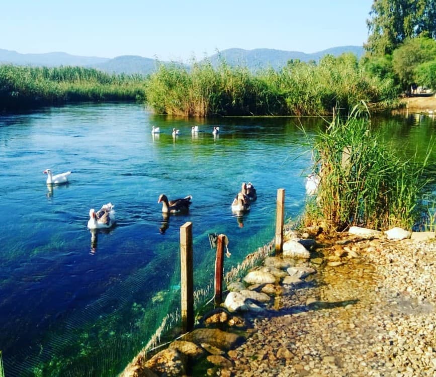 Akyaka’s Living Heritage: Nature, Traditions, and Sustainable Living